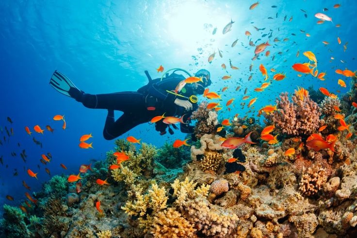 Scuba diving in andaman