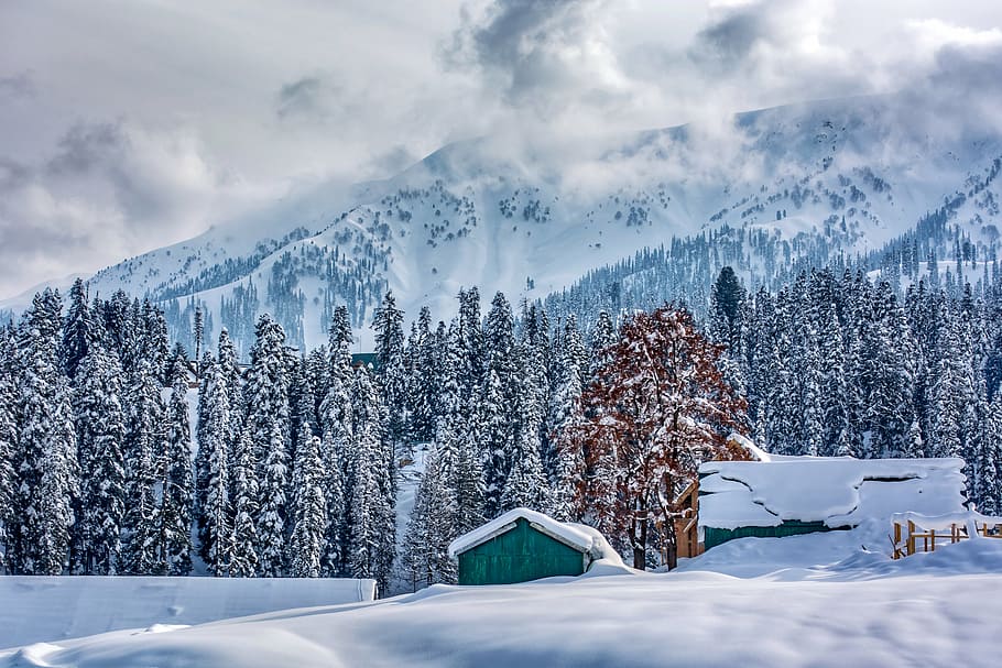 The Heartbeat of Kashmir