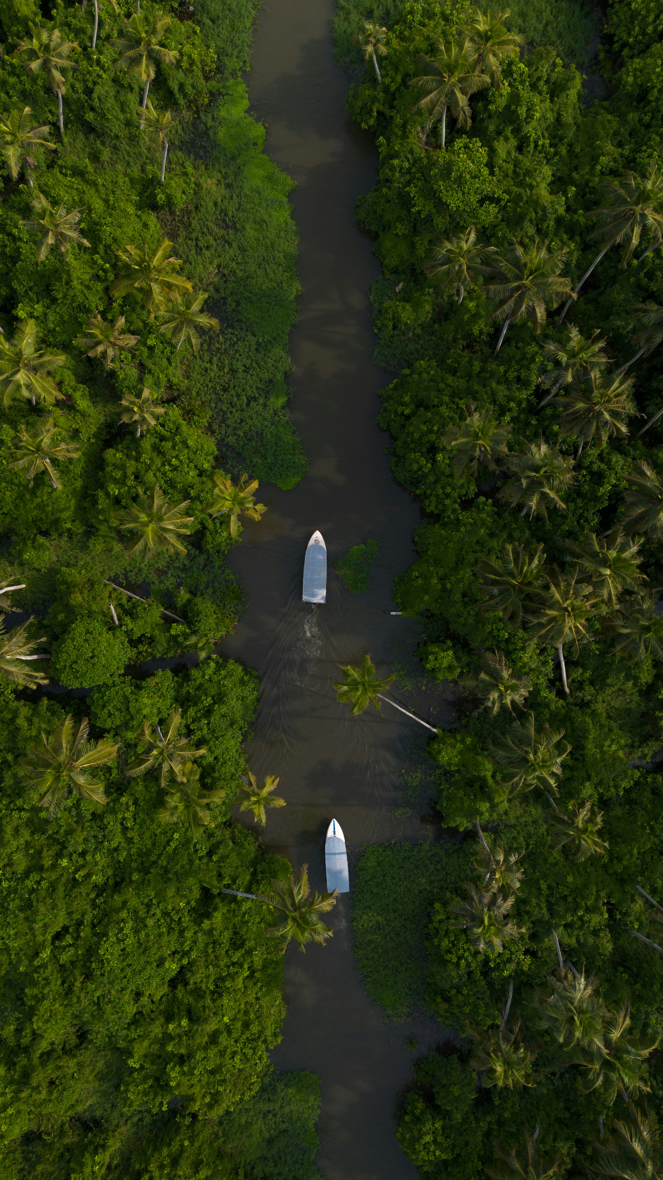  A serene backwater destination ideal for bird watching and relaxing in tranquil surroundings.