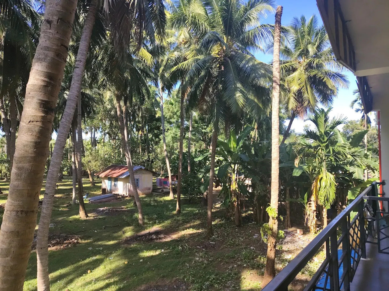 Essa Holidays Room